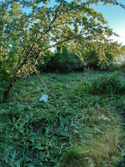 De vanzare casa cu teren in Vara?ti jude?ul Giurgiu - 8