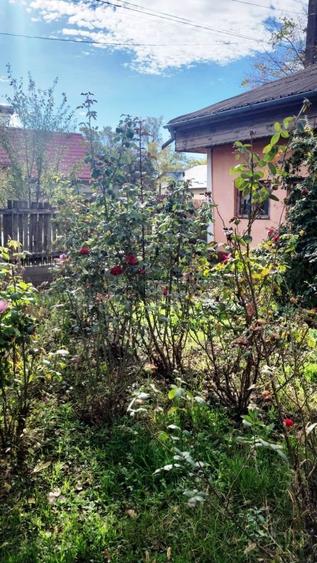 Proprietate situată la Vadu Pașii, stradal, central, cu potențial comercial - 1