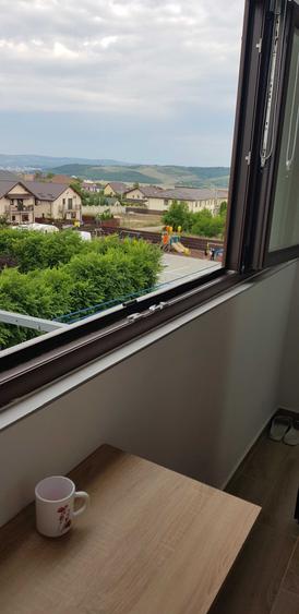Garsonieră decomandată în Valea Lupului