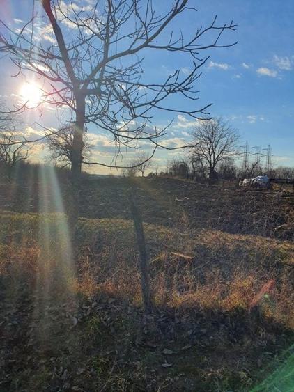 Teren Cocorastii Colt-Jud. Prahova - 3