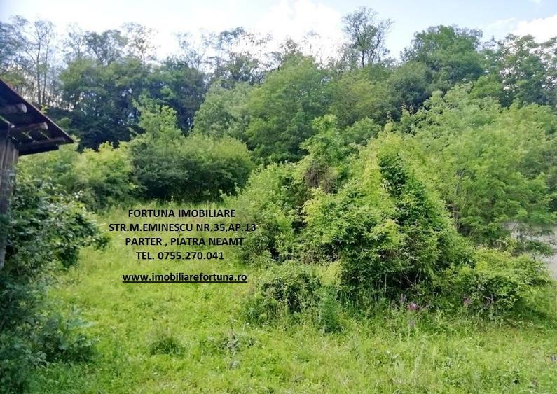 Teren 2000 mp, str.Nicu Albu, cadru natural superb - 1