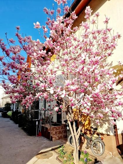 Vila de vanzare – mobilata si utilata/complex privat zona Pallady - 1