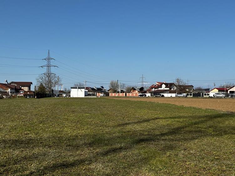 Teren intravilan 3.000 mp Niculesti Movila - 1