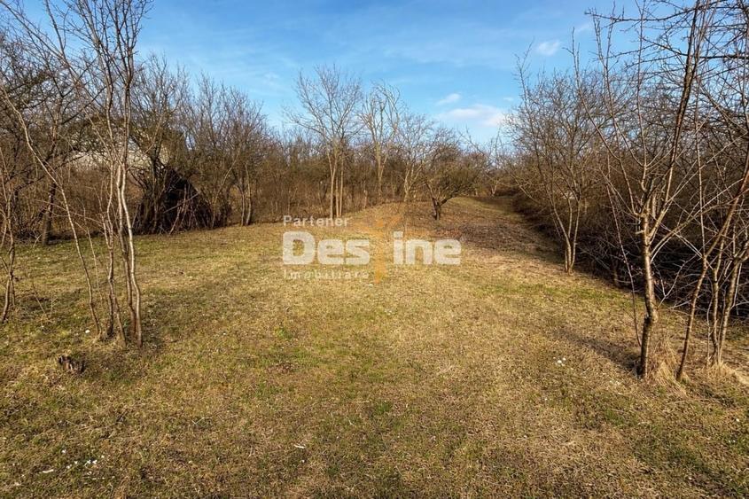 Teren INTRAVILAN, Copou, Viticultori, Iasi 1451mp - 1