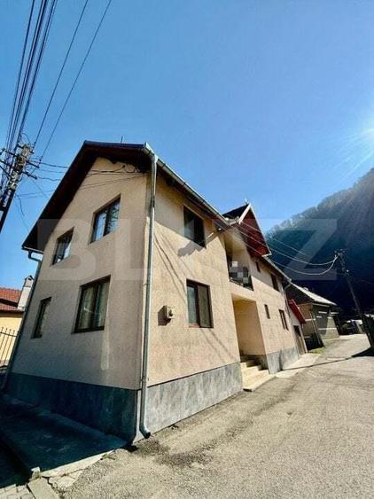 Casa de vanzare in Sugag Ideala pentru locuin?a sau investi?ie. - 17