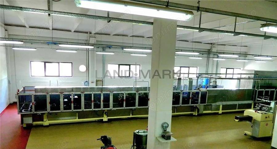 Hala industriala de vanzare, Timisoara Nord Vest - 7