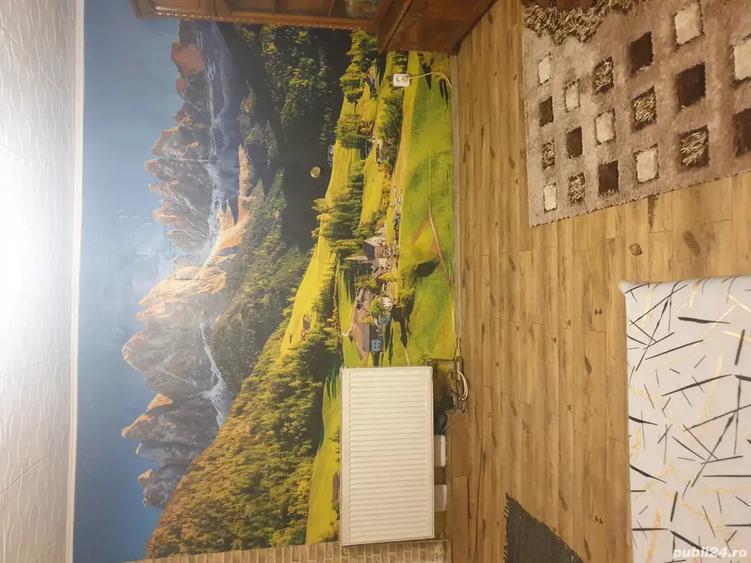 vind casa Walter Maracineanu - 4