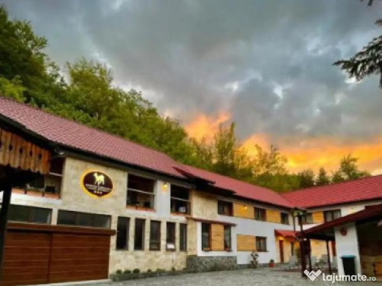 Pensiune de vanzare, 600 mp, pe malul lacului Firiza - 9