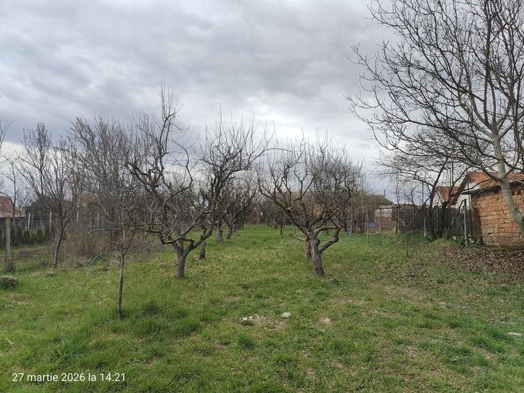 Casa cu livada / Teren intravilan / Sacel - 1350 mp Pozitie centrala - 5