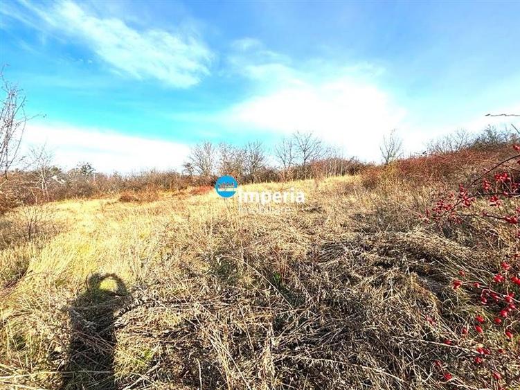 Teren 1500 mp, Bucium, la asfalt, PUZ, loturi - 1