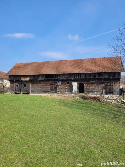 Vand casa cu anexe si teren 3008 mp, in centrul loc. Risculita, com. Baia de Cris, jud. Hunedoara - 10