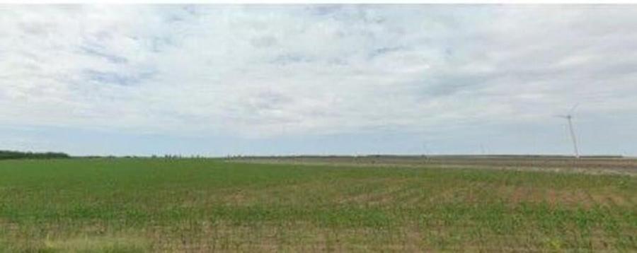 Teren extravilan Pogoanele, ID: R2586845 - 7