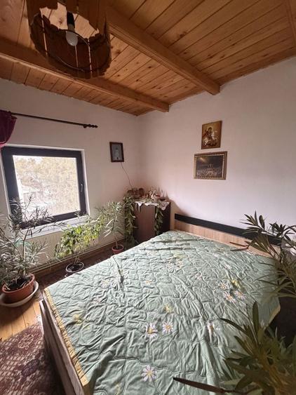 Vand casa de vacanta 27km de Buzau, Valea Parului Beceni - 7