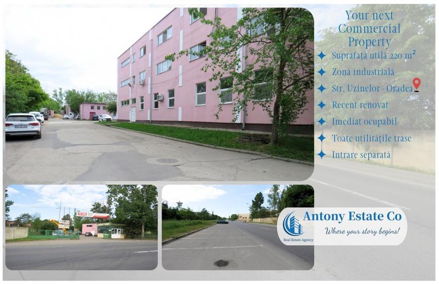 Birouri, Depozit de inchiriat, Uzinelor , Parc Industrial - Oradea - 6