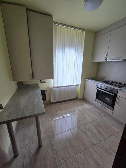 Casă cu hală și anexe Potențial pentru locuință și afacere Biled - 8