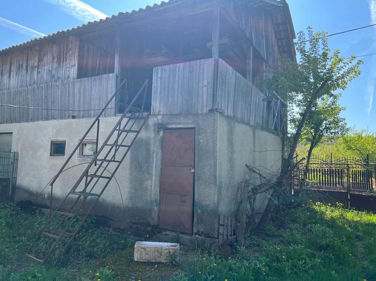 Casa de vanzare in comuna Dobroteasa - 5