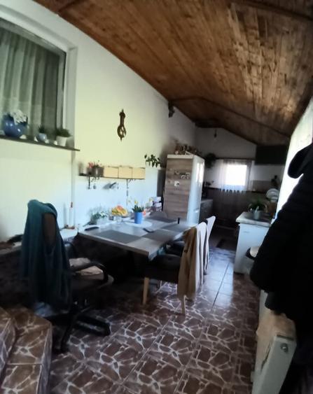 Valea Borcutului, casa 23 ari teren - 7