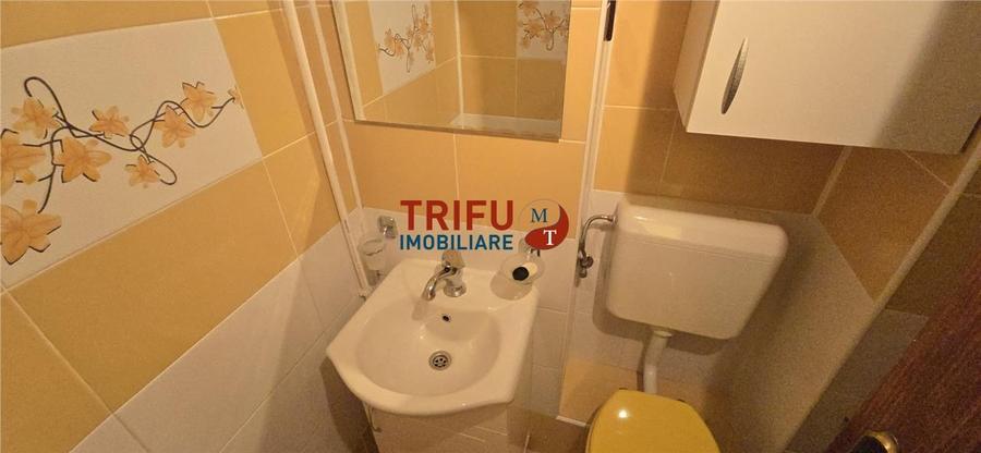 Apartament pentru familie de inchiriat in Cetate - 9