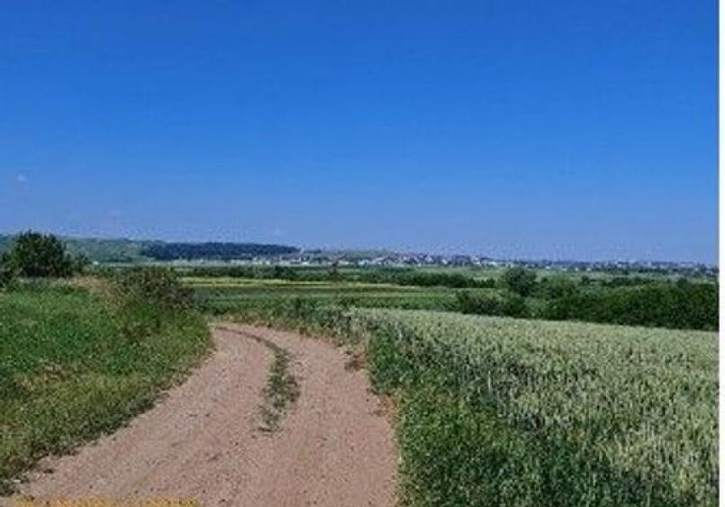 Teren extravilan Bosanci, ID: R2649420 - 4