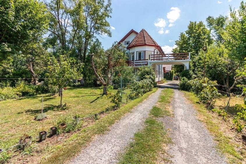 Casa+Laborator+ Teren 12.700 mp + casa de vacanta - Bolintin Vale - 56