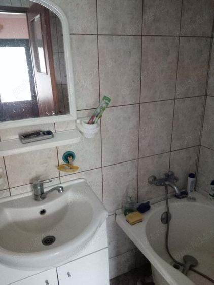 Casa batraneasca de vanzare - 2