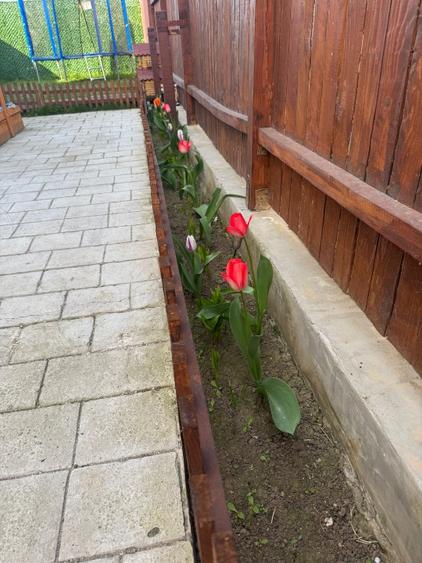 Apartament intr-un cvatruplex - 8