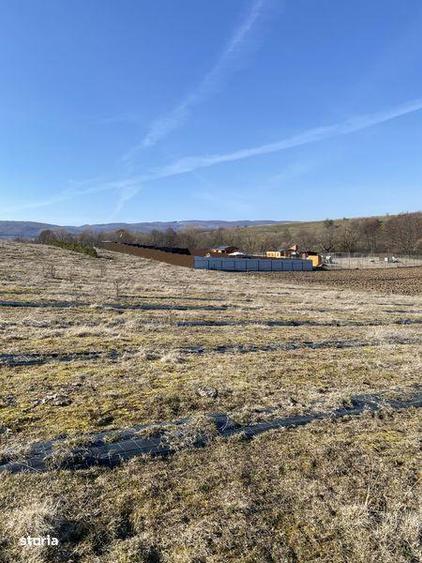 Teren extravilan de vanzare - 2