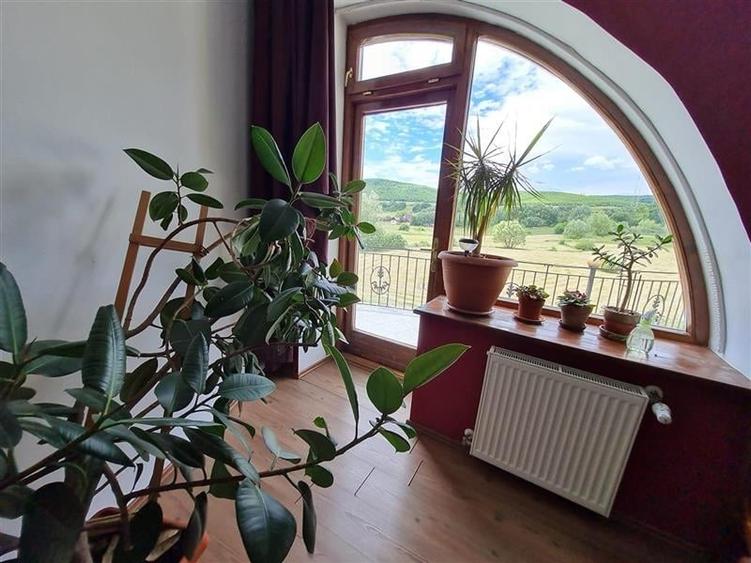 Film & Tur LIVE! Rafinament in cartier linistit, pe 30.000 mp teren paradis, fac - 11