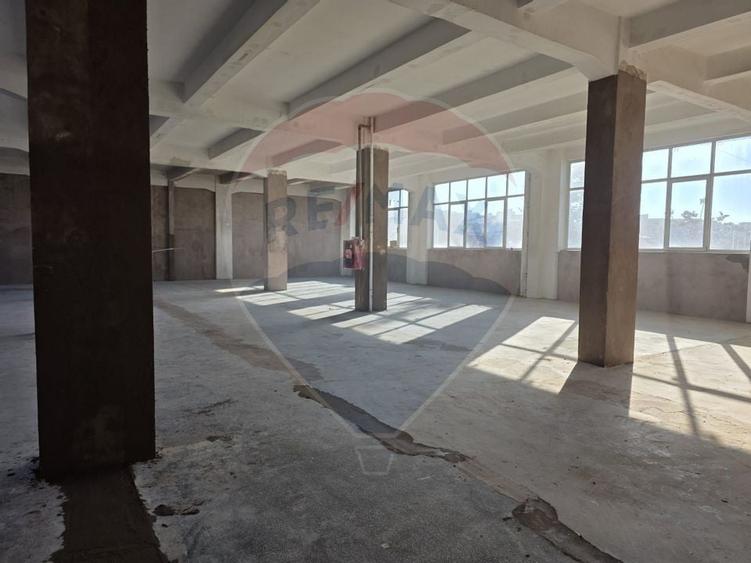 Spatii 200/430 mp lift marfa Baicului platforma industriala - 3