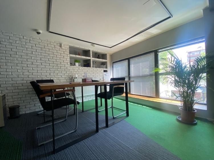 Cismigiu-Mircea Vulcanescu - 6