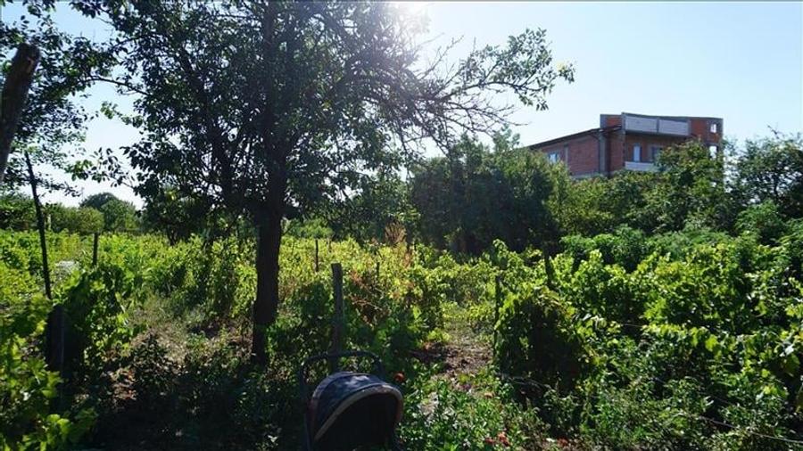 Teren stradal cu casa veche in Podari - toate utilitatile - 9