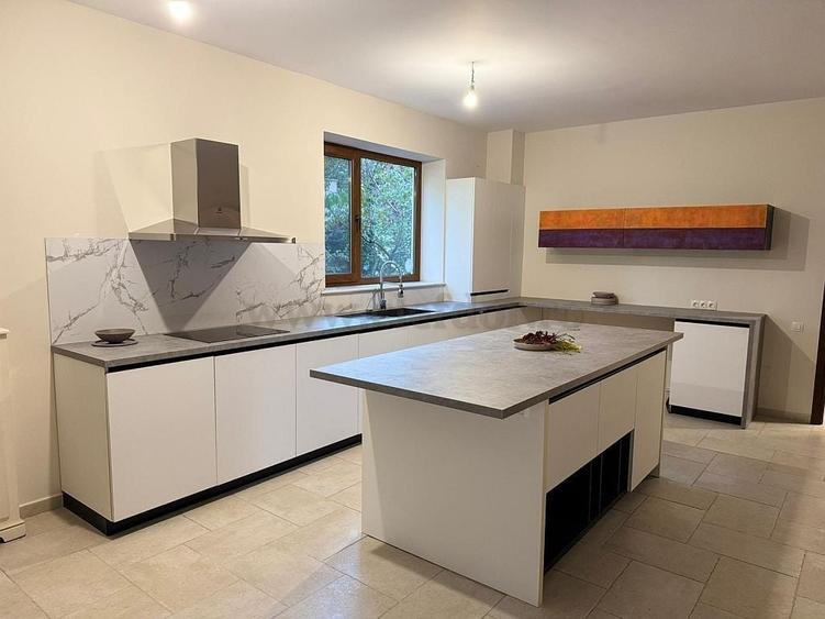 Iancu Nicolae - Vila individuala RENOVATA langa padure - 7