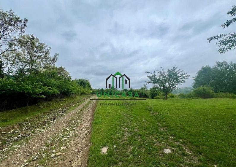 Teren 3507 mp/ Seaca/Calimanesti - 1