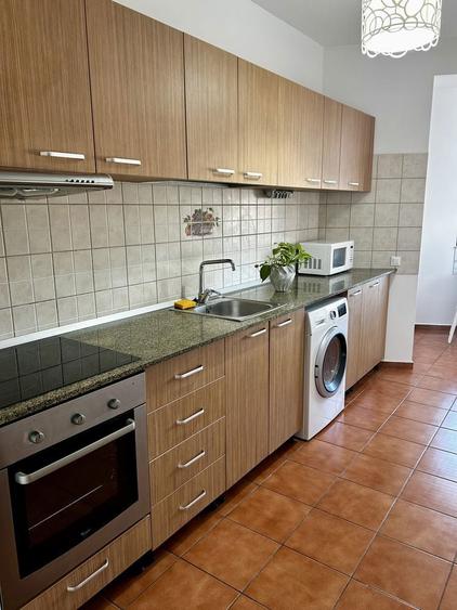 Garsoniera de inchriat, Proprietar - 7