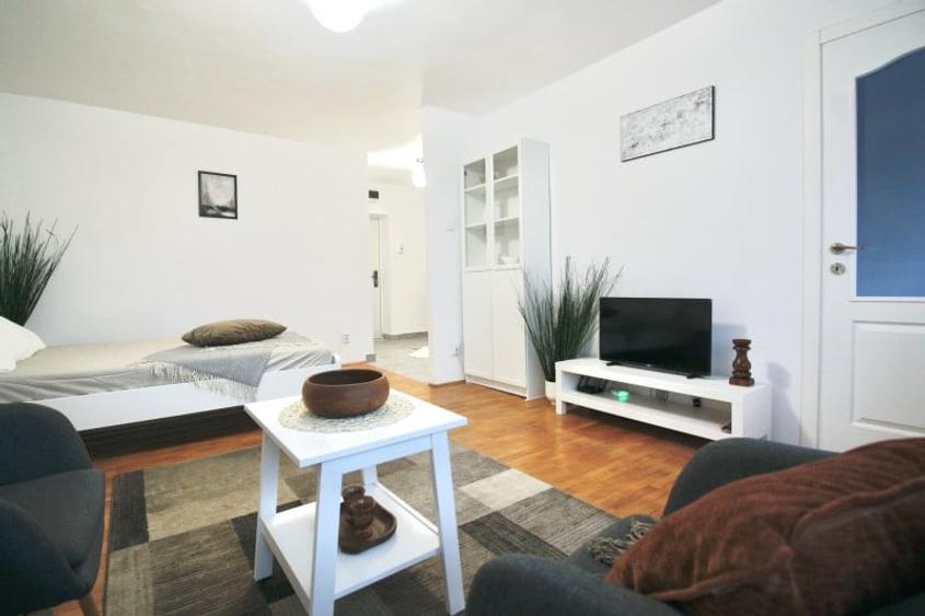 TEUL DOAMNEI-BERECHET, RENOVATA TOTAL, MOBILATA  MODERN, 0% COMISION! - 4