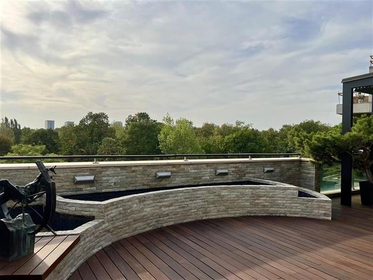 Penthouse spectaculos cu vedere catre parc - 4