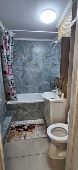 Apartament 3 camere Giurgiului-Toporasi - 10