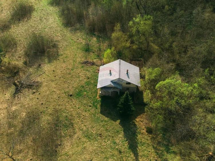 Casa si teren intravilan Tarcau - 14