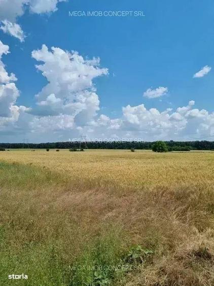 Loturi de Teren in Vadul Ani, Ilfov A2 - 2