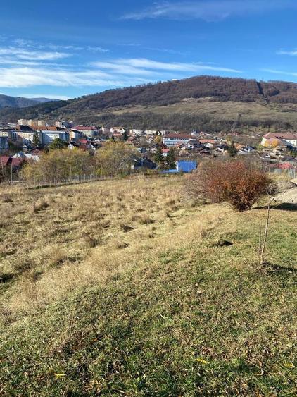 Vand teren darmanesti - 3