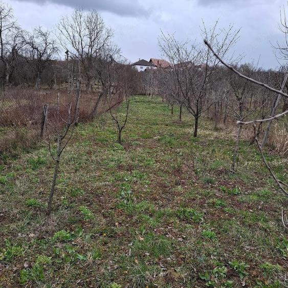 Casa Comuna Balanesti sat Voitestii din Vale jud. Gorj - 4