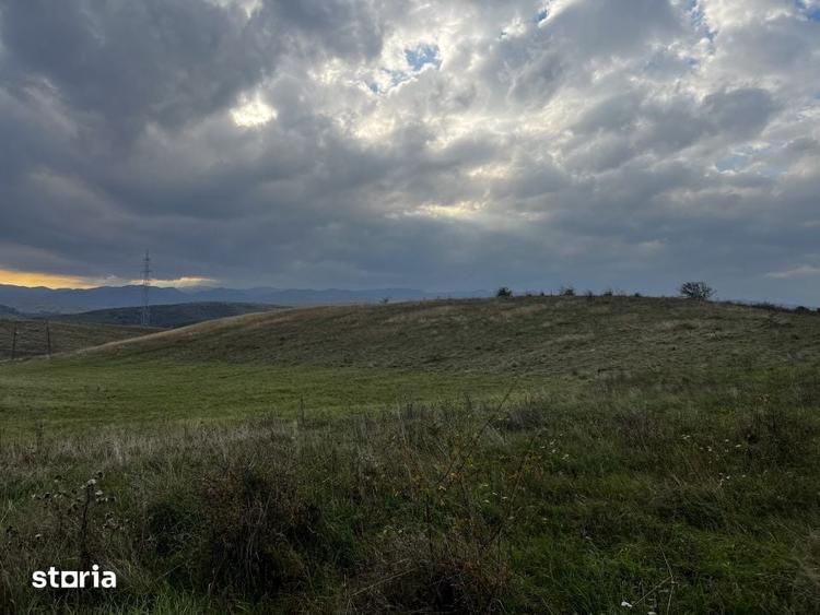 Teren de 5000 mp, în Ciurila