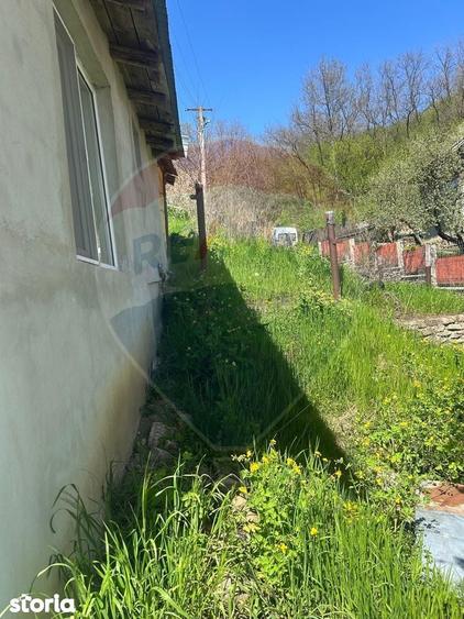 Casa bunicilor de vanzare. - 18