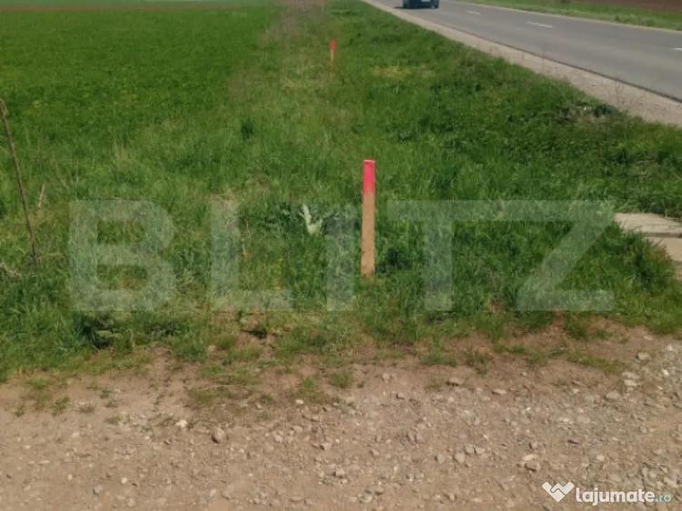 Teren intravilan - oportunitate investitie - aproape de Vale - 1