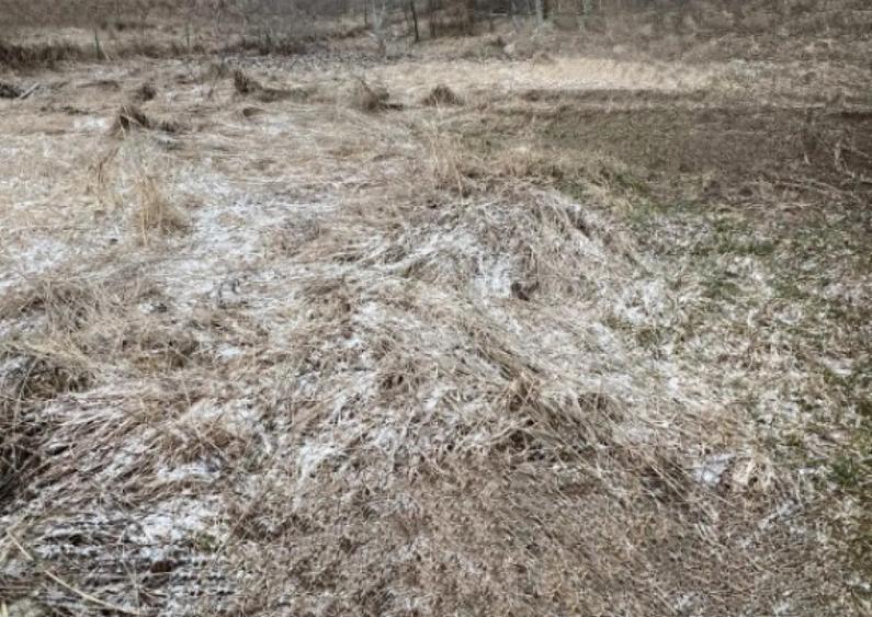 Teren intravilan pentru construc?ie de casa in Dezmir! - 1