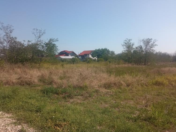 Teren 100Omp, Clinceni, Str Rozelor - 9