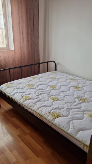 Berceni, Luica, stradal - 8