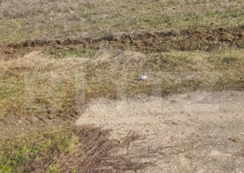 TEREN INTRAVILAN CONSTRUCTII - 2