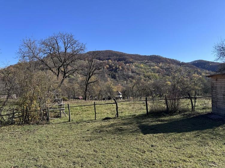 Teren intravilan Bradulet (Ungureni) , imprejmuit, langa padure - 2