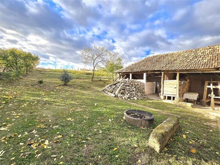 CASA 3 CAMERE + LIVING | 1790 MP TEREN | SAT RAPA | BIHOR - 27